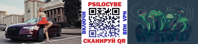 Галлюциногенные грибы Psilocybine cubensis  мега tor  Обоянь  купить  цена 